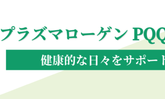 新商品入荷のお知らせ